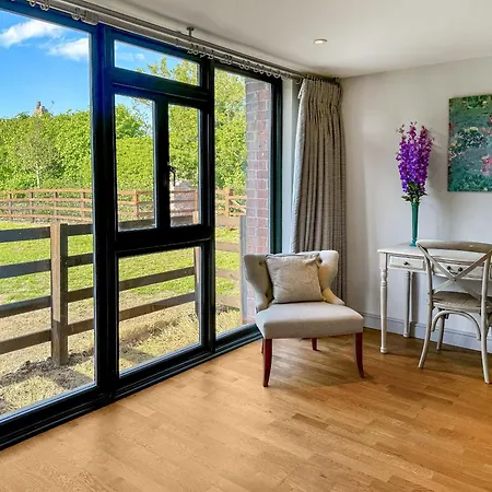 Barn Owl - Uk48510 *