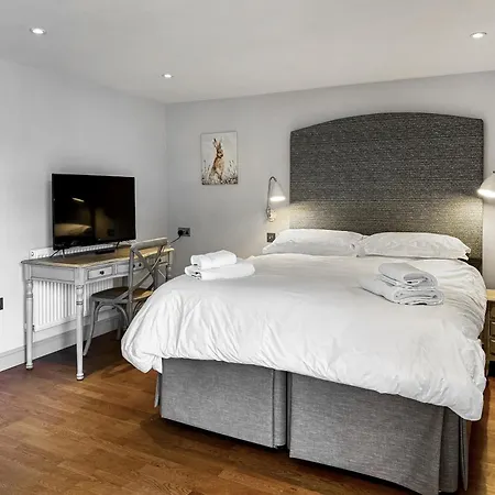 Barn Owl - Uk48510 度假居