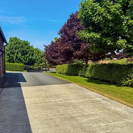 Barn Owl - Uk48510 Kirk Hammerton