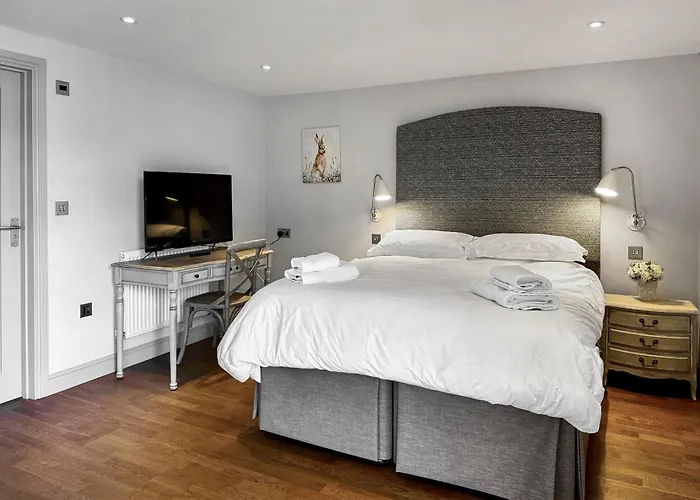 Barn Owl - Uk48510 Hébergement de vacances